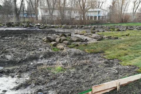 Договорились с совестью: укладка газона на левом берегу Дона шокировала специалистов