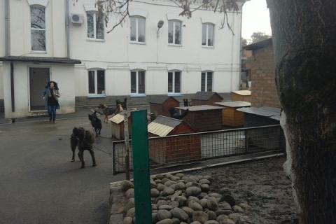 В ЦБЖ Ростова вновь нагрянула полиция