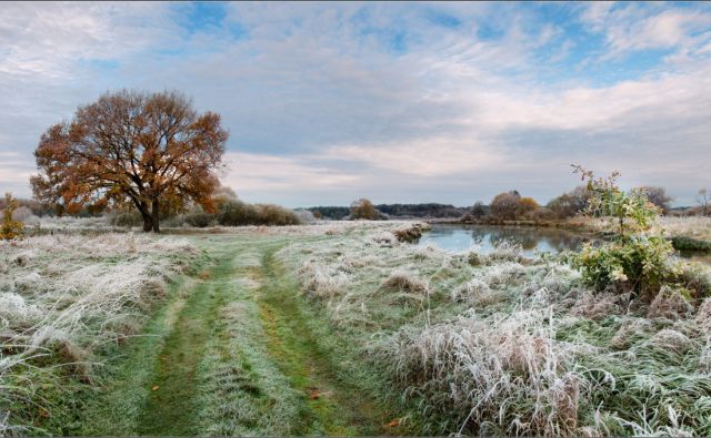 Новости области | Белая Калитва: Информационно - развлекательный портал - Страница #235 photo В Ростовской области ожидаются заморозки до –2 °С