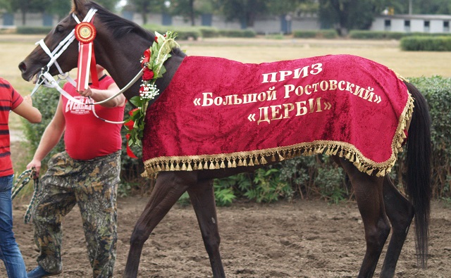 Новый ростовский ипподром построят напротив «Тачанки»