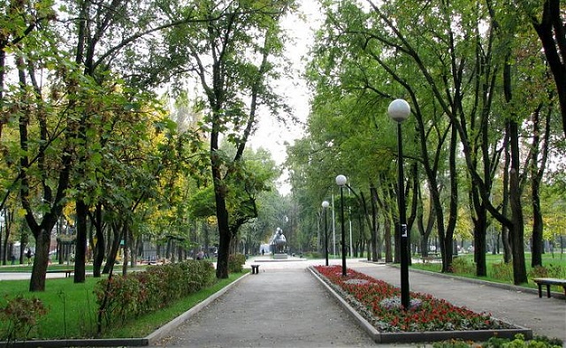 Новости | Белая Калитва: Информационно - развлекательный портал - Страница #128 photo Городская дума добавила Ростову 1,4 тысячи гектаров леса