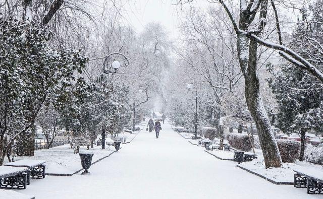 После морозных выходных в Ростовской области потеплеет до +7 °С