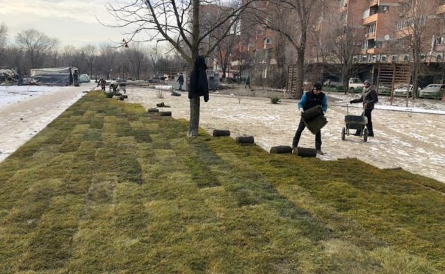 Кушнарёв объяснил укладку газонной травы зимой
