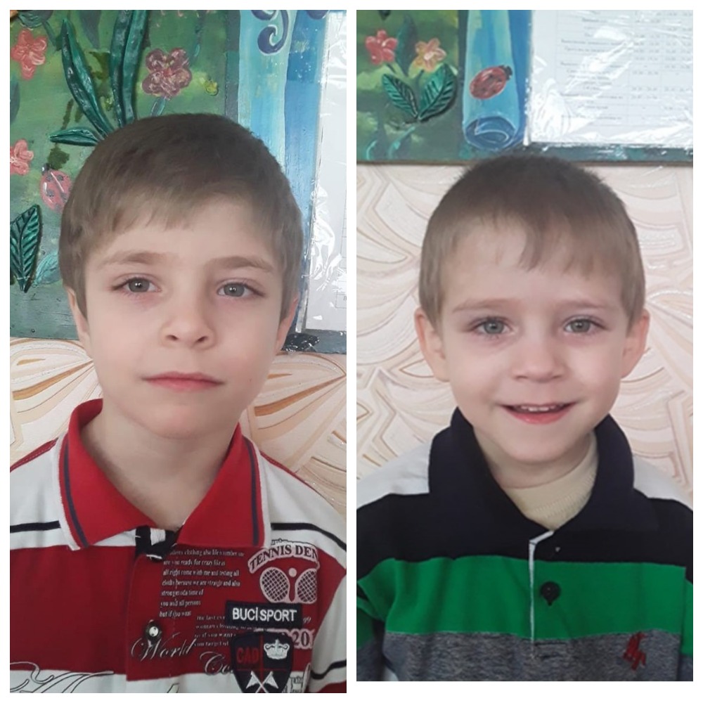 Два братика ищут семью!