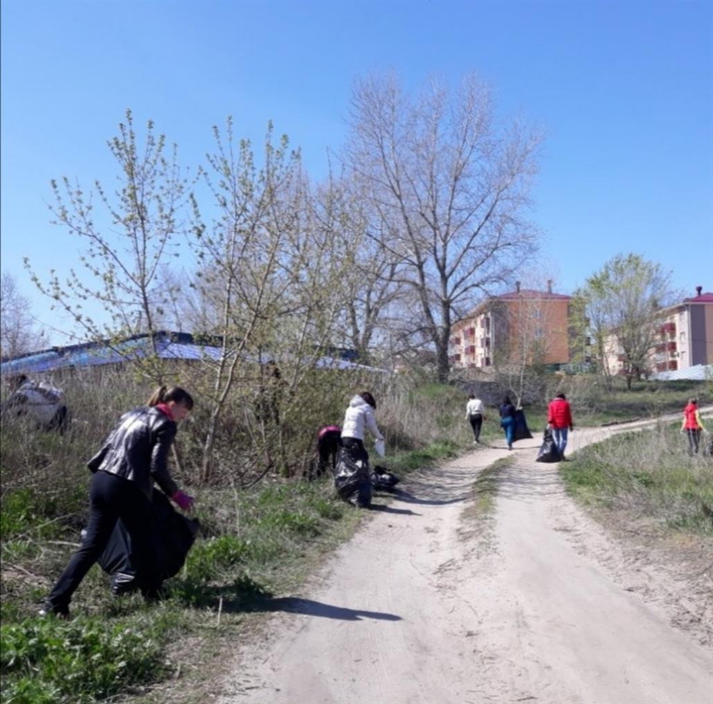 В конце апреля в Белокалитвинском районе пройдет субботник