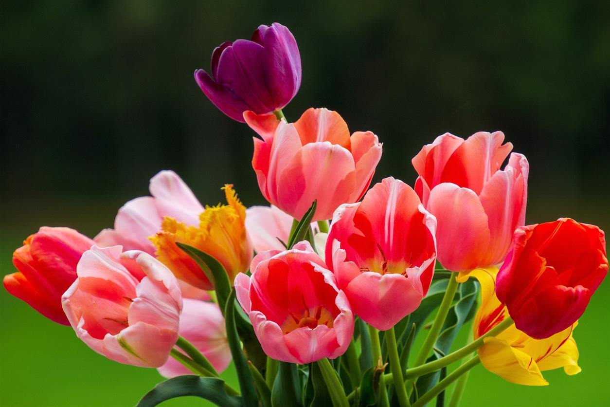 Уважаемые работники, ветераны и добровольцы пожарной охраны Белокалитвинского района!