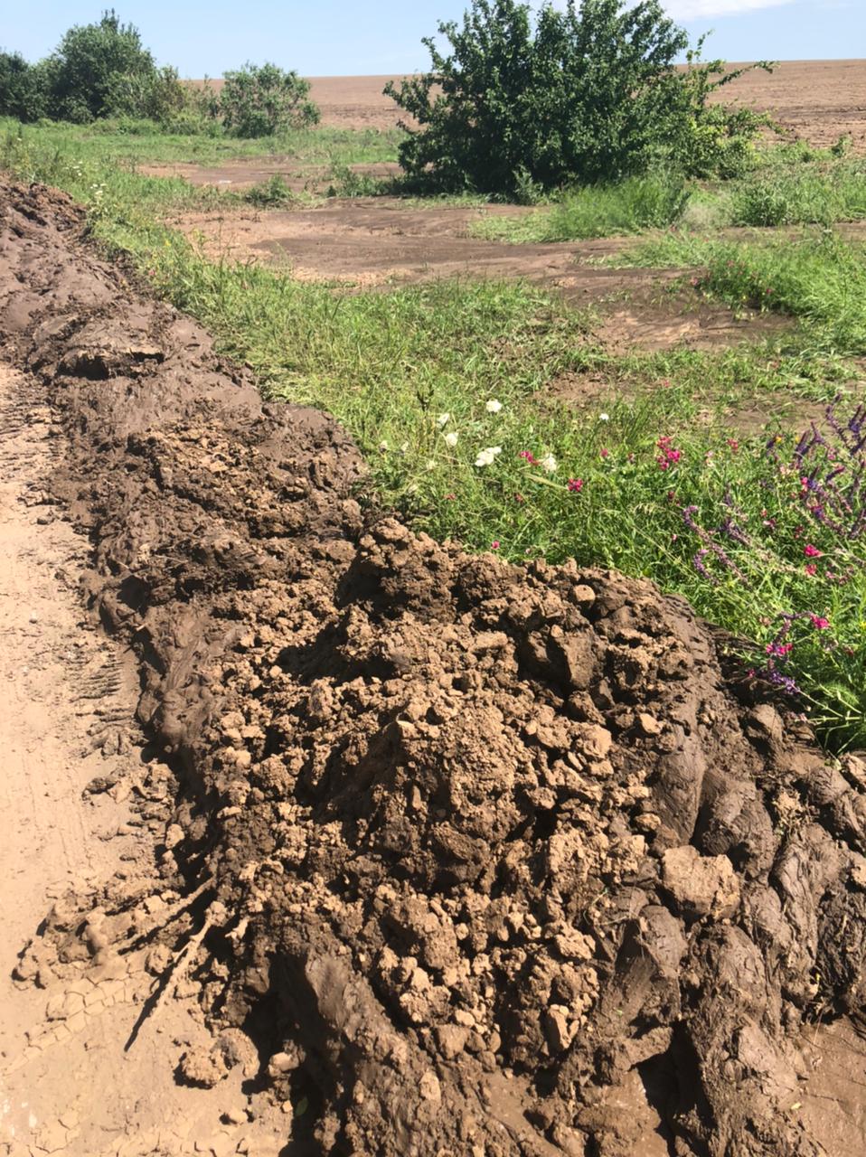 Ливни вымыли землю с полей