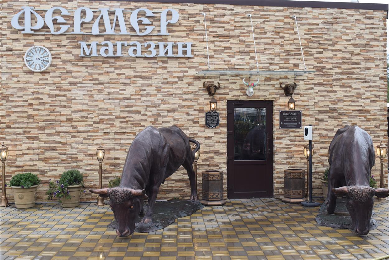 Оазис в степи
