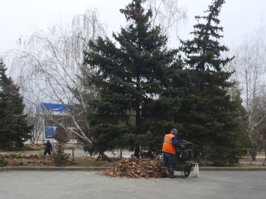 Высадили новые саженцы взамен погибших