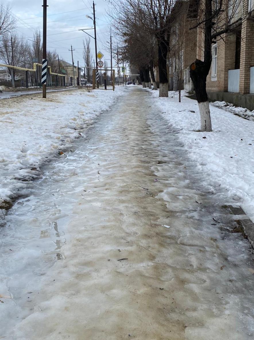 Все на каток!